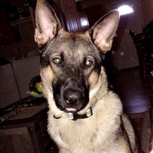 Meet your Posher, Rebecca